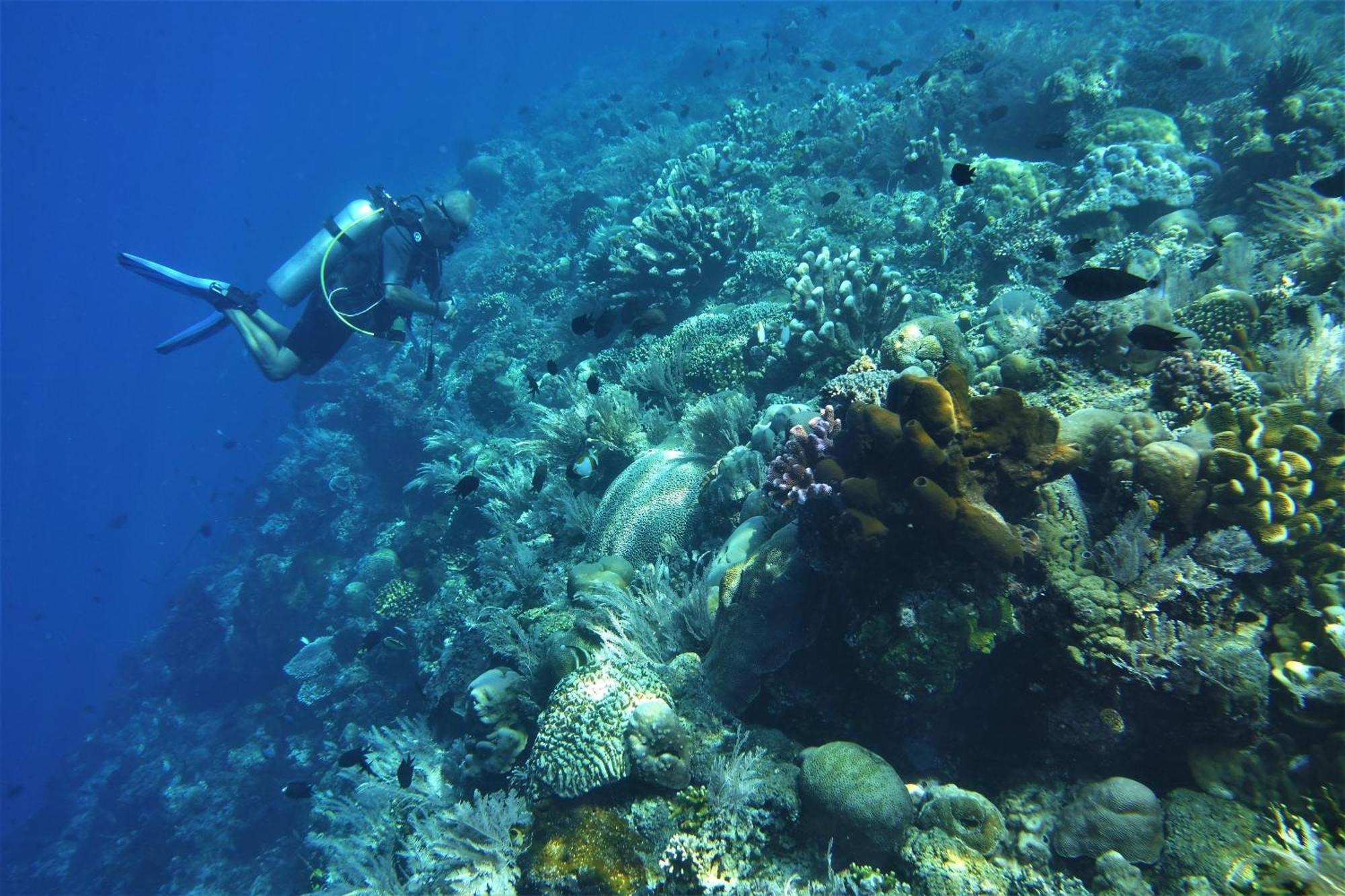 Bunaken Sea Garden Resort Dış mekan fotoğraf